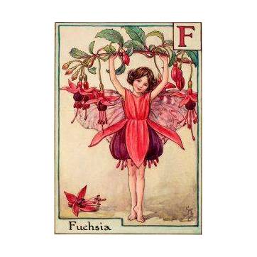 Carte "Fées des Fleurs" Cicely Mary Barker "Fuschia"