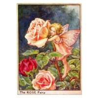Carte "Fées des Fleurs" Cicely Mary Barker "Roses"