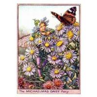 Carte "Fées des Fleurs" Cicely Mary Barker "Marguerite violette"