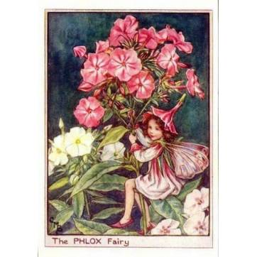 Carte "Fées des Fleurs" Cicely Mary Barker "Phlox"
