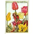 Carte "Fées des Fleurs" Cicely Mary Barker "Les Tulipes"
