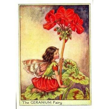 Carte "Fées des Fleurs" Cicely Mary Barker "Géranium"