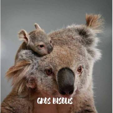 Carte "Gros Bisous"Maman Koala et Bébé