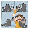 Carte Chat "Moi, mon chat et le Selfie"