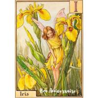 Carte Anniversaire Enfants Fées des Fleurs Iris jaune