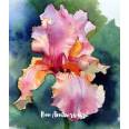 Carte Anniversaire aquarelle Iris roses violets