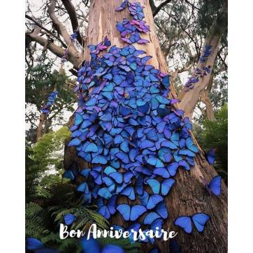 Carte Anniversaire Papillons bleus sur tronc d'arbre