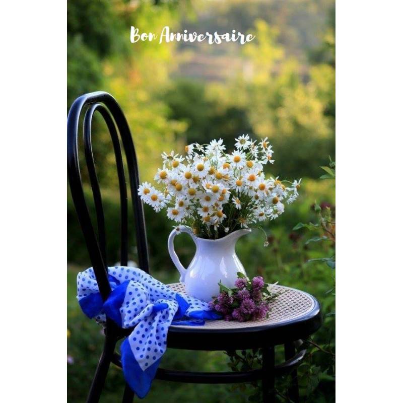 Carte Anniversaire Fleurs Chaise Et Vase De Marguerites