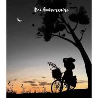 Carte Anniversaire "Bon Anniversaire Bicyclette au clair de Lune"