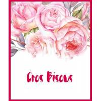 Carte Gros Bisous Reproduction aquarelle Fleurs roses