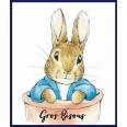 Carte "Gros Bisous" Beatrix Potter Peter Rabbit dans pot de terre