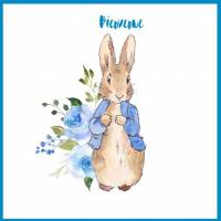 Carte Naissance Beatrix Potter Peter Rabbit bleu
