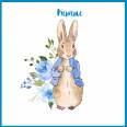 Carte Naissance Beatrix Potter Peter Rabbit bleu