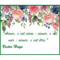 Citation Amour: "Aimer c'est vivre: aimer c'est voir: aimer c'est être" Victor Hugo