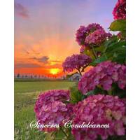 Carte Condoléances Hortensias au coucher de soleil