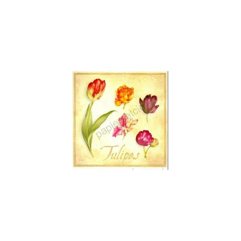 Papier de riz pour decoupage Scrapbook Artisanat Fleurs de Printemps Tulipes 568