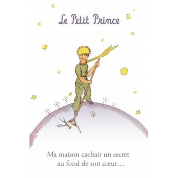 Carte Citation Le Petit Prince Ma Maison Cachait Un Secret