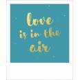 Carte citation format polaroïd "Love is in the air"