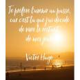  Carte Citation "Je préfère l'avenir au passé, car c'est là que j'ai décidé de vivre le restant de mes jours" Victor Hugo
