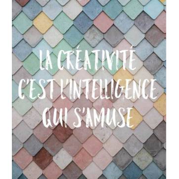 Carte Citation "La créativité c'est l'intelligence qui s'amuse"